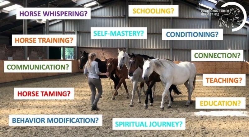 Equestrian Mastery